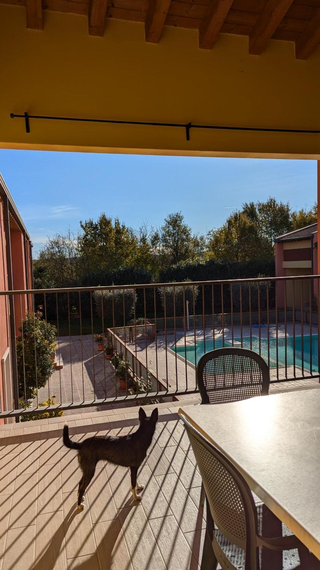 Agriturismo Ai Tre Fienili Понти-суль-Минчо Экстерьер фото
